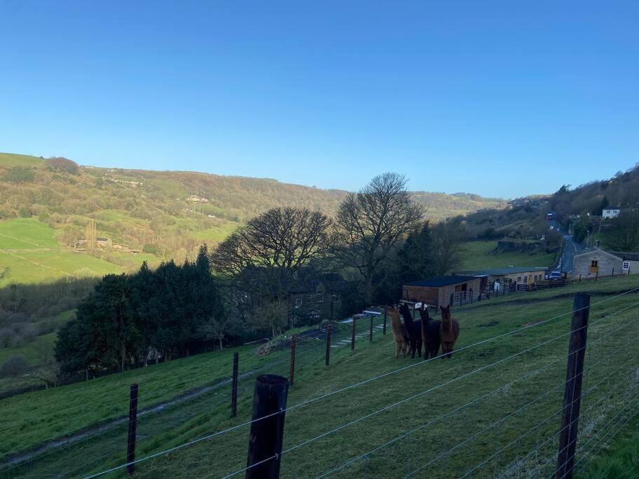 Unique Victorian Stable Conversion Halifax Eksteriør bilde